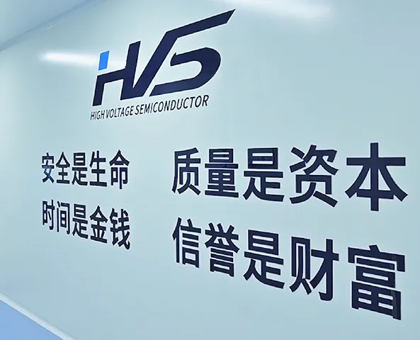 hvs company culture